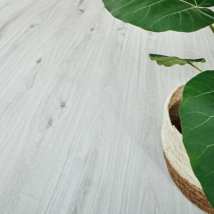 LOGOCLIC Aquaprotect Laminaat Beach Oak - 1.285 x 192 x 8 mm, Planken - Close-up