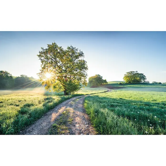 Komar Stefan Hefele Edition 1 Fototapete A New Day in Paradise - 4 -tlg., B x H: 400 x 250 cm, Vlies - Vorderansicht