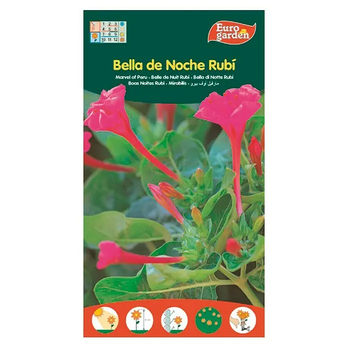 Euro Garden Semillas de flores Bella de Noche Rubí - Época de floración: Junio