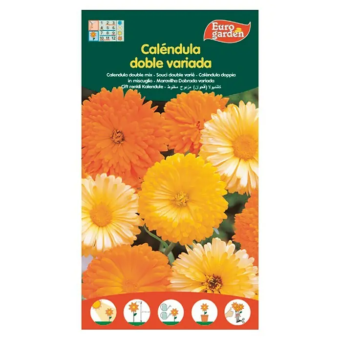 Euro Garden Semillas de flores Caléndula Doble variada - Época de floración: Junio