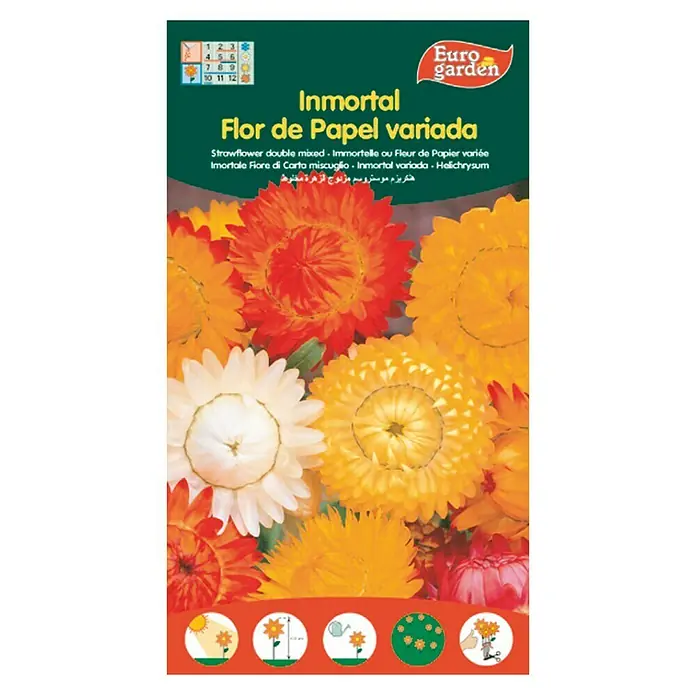 Euro Garden Semillas de flores Inmortal - Época de floración: Junio
