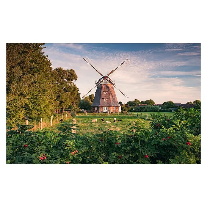 Komar Stefan Hefele Edition 2 Fototapete Tage wie diese - 9 -tlg., B x H: 450 x 280 cm, Vlies - Vorderansicht