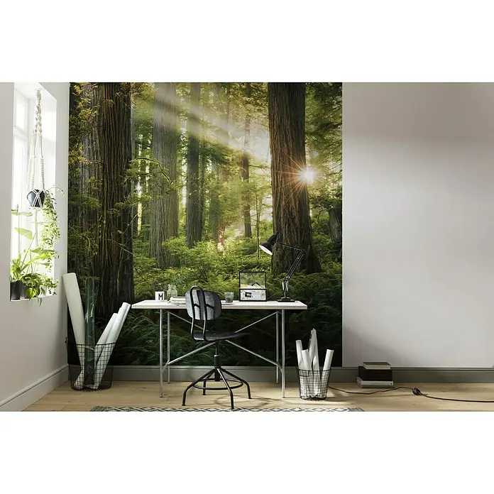 Komar Stefan Hefele Edition 2 Fototapete Goblins Woods - 5 -tlg., B x H: 250 x 280 cm, Vlies - Stimmungsaufnahme