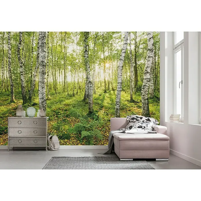 Komar Stefan Hefele Edition 1 Fototapete Birch Trees - 4 -tlg., B x H: 400 x 250 cm, Vlies - Stimmungsaufnahme