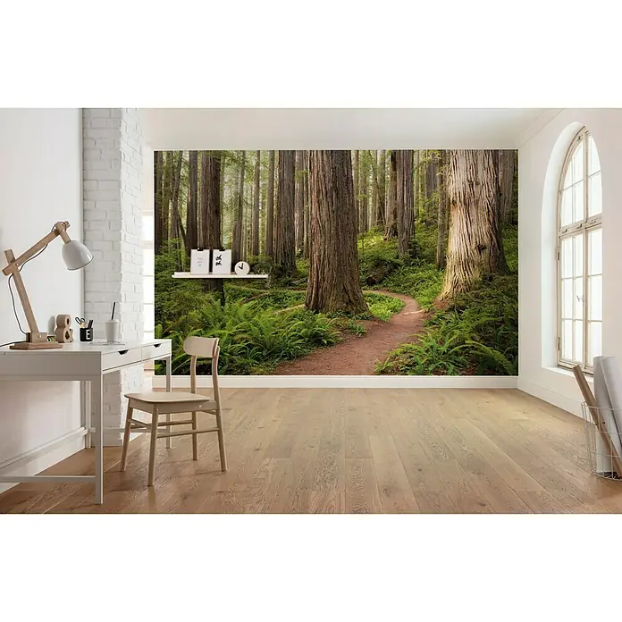 Komar Stefan Hefele Edition 2 Fototapete Redwood Trail - 9 -tlg., B x H: 450 x 280 cm, Vlies - Stimmungsaufnahme