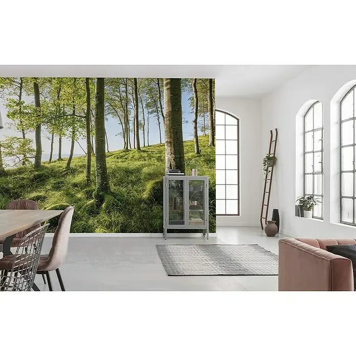 Komar Stefan Hefele Edition 2 Fototapete Zauberhaftes Buchenspektakel - 9 -tlg., B x H: 450 x 280 cm, Vlies - Stimmungsaufnahme