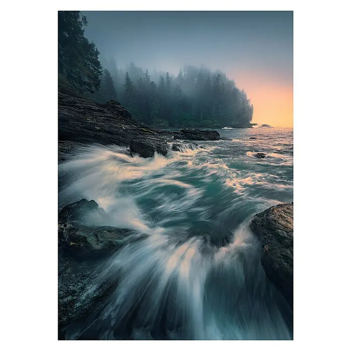 Komar Stefan Hefele Edition 2 Fototapete Cry of the Sea - 4 -tlg., B x H: 200 x 280 cm, Vlies - Vorderansicht
