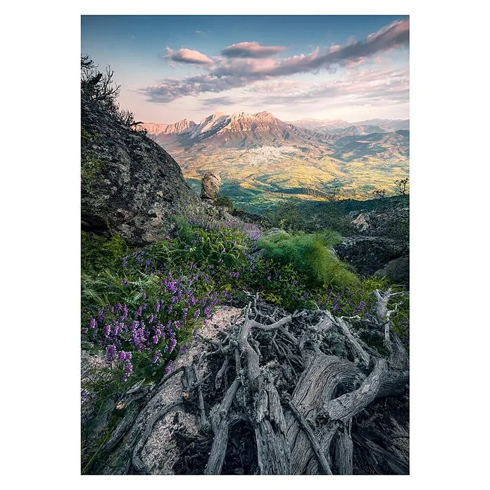 Komar Stefan Hefele Edition 2 Fototapete Flowering Tales - 4 -tlg., B x H: 200 x 280 cm, Vlies - Vorderansicht