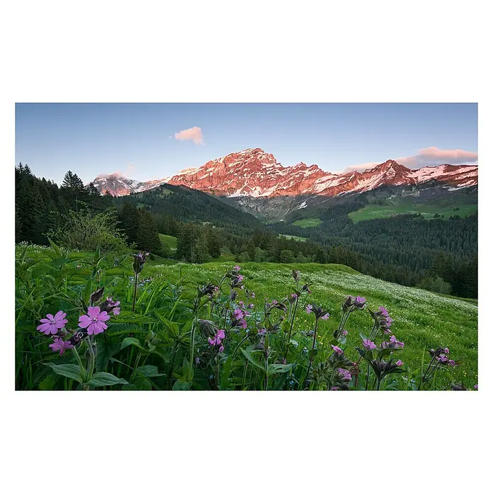 Komar Stefan Hefele Edition 2 Fototapete Pictures Que Switzerland - 9 -tlg., B x H: 450 x 280 cm, Vlies - Vorderansicht