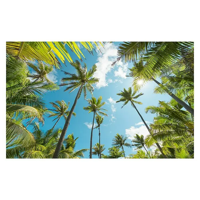 Komar Stefan Hefele Edition 2 Fototapete Coconut Heaven - 9 -tlg., B x H: 450 x 280 cm, Vlies - Vorderansicht