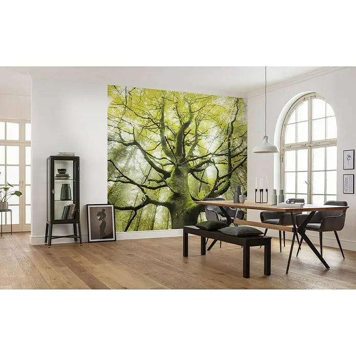 Komar Stefan Hefele Edition 2 Fototapete Der Traumbaum - 9 -tlg., B x H: 450 x 280 cm, Vlies - Stimmungsaufnahme
