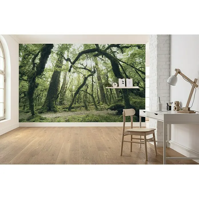Komar Stefan Hefele Edition 2 Fototapete Ancient Green - 9 -tlg., B x H: 450 x 280 cm, Vlies - Stimmungsaufnahme