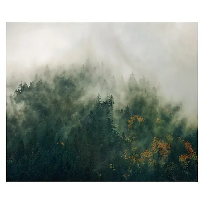 Komar Pure Fototapete Tales of the Carpathians - 3 -tlg., B x H: 300 x 250 cm, Vlies - Vorderansicht