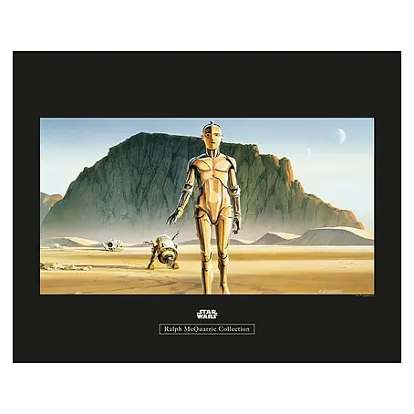 Komar Star Wars Poster RMQ Droids