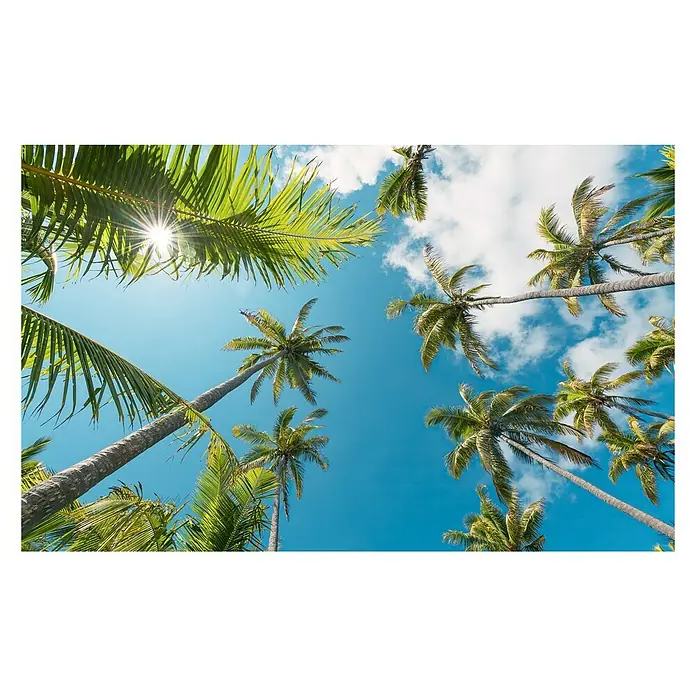 Komar Stefan Hefele Edition 2 Fototapete Coconut Heaven II - 9 -tlg., B x H: 450 x 280 cm, Vlies - Vorderansicht