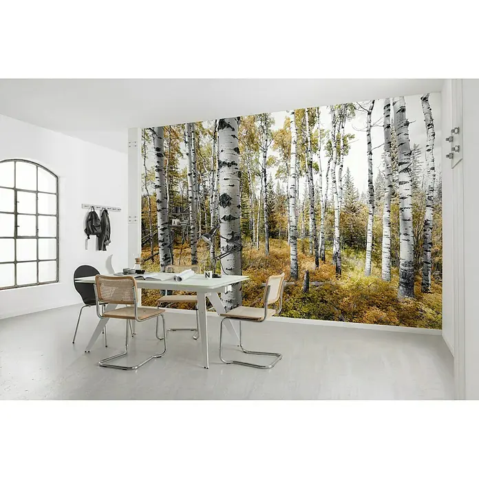 Komar Stefan Hefele Edition 2 Fototapete Colorful Aspenwoods - 9 -tlg., B x H: 450 x 280 cm, Vlies - Stimmungsaufnahme