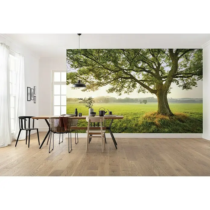 Komar Stefan Hefele Edition 2 Fototapete The Magic Tree - 9 -tlg., B x H: 450 x 280 cm, Vlies - Stimmungsaufnahme