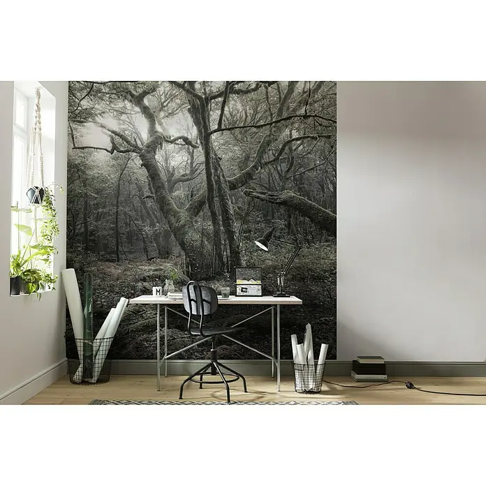 Komar Stefan Hefele Edition 2 Fototapete Das Model - 5 -tlg., B x H: 250 x 280 cm, Vlies - Stimmungsaufnahme