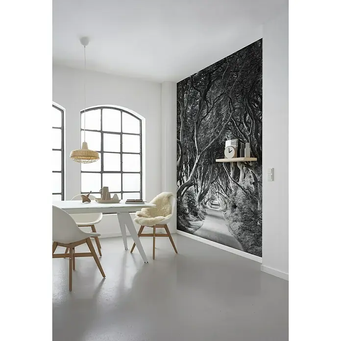 Komar Stefan Hefele Edition 2 Fototapete Forevenue - 5 -tlg., B x H: 250 x 280 cm, Vlies - Stimmungsaufnahme