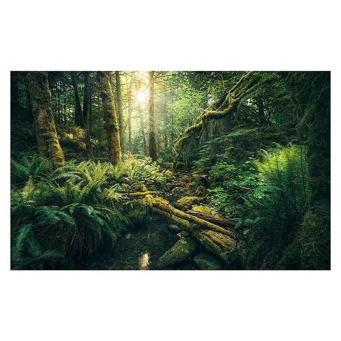 Komar Stefan Hefele Edition 2 Fototapete Elves Cathedral - 9 -tlg., B x H: 450 x 280 cm, Vlies - Vorderansicht