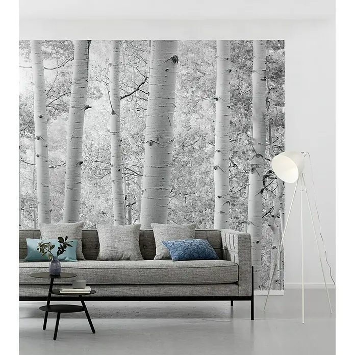 Komar Stefan Hefele Edition 2 Fototapete Espenwald - 9 -tlg., B x H: 450 x 280 cm, Vlies - Stimmungsaufnahme