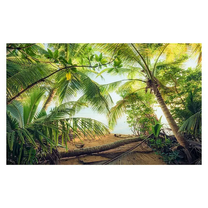 Komar Stefan Hefele Edition 2 Fototapete Piratenversteck - 9 -tlg., B x H: 450 x 280 cm, Vlies - Vorderansicht