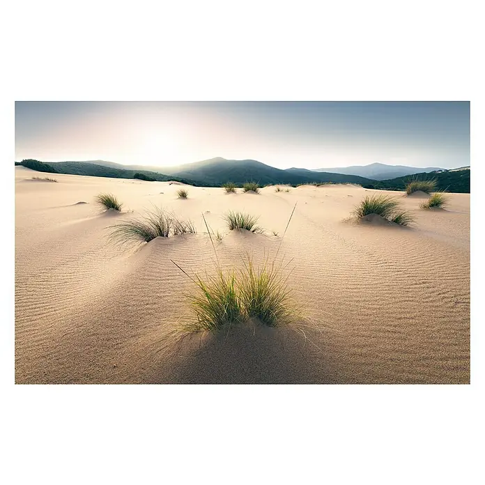 Komar Stefan Hefele Edition 2 Fototapete Vived Dunes - 9 -tlg., B x H: 450 x 280 cm, Vlies - Vorderansicht