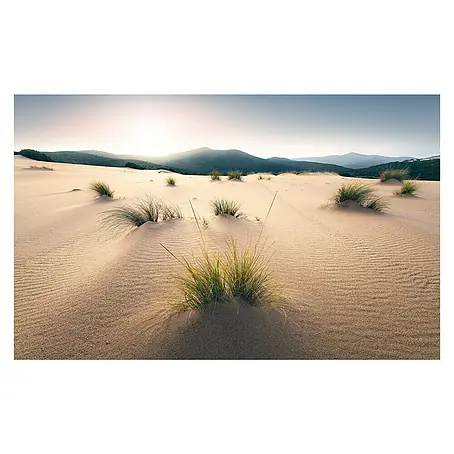 Komar Stefan Hefele Edition 2 Fototapete Vived Dunes