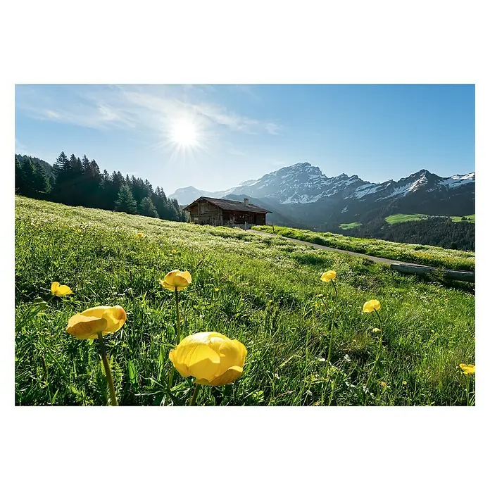 Komar Stefan Hefele Edition 2 Fototapete Alpenglück - 8 -tlg., B x H: 400 x 280 cm, Vlies - Vorderansicht