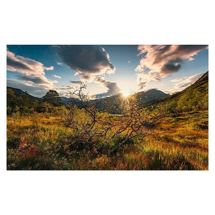 Komar Stefan Hefele Edition 2 Fototapete Norwegische Herbstwelten - 9 -tlg., B x H: 450 x 280 cm, Vlies - Vorderansicht
