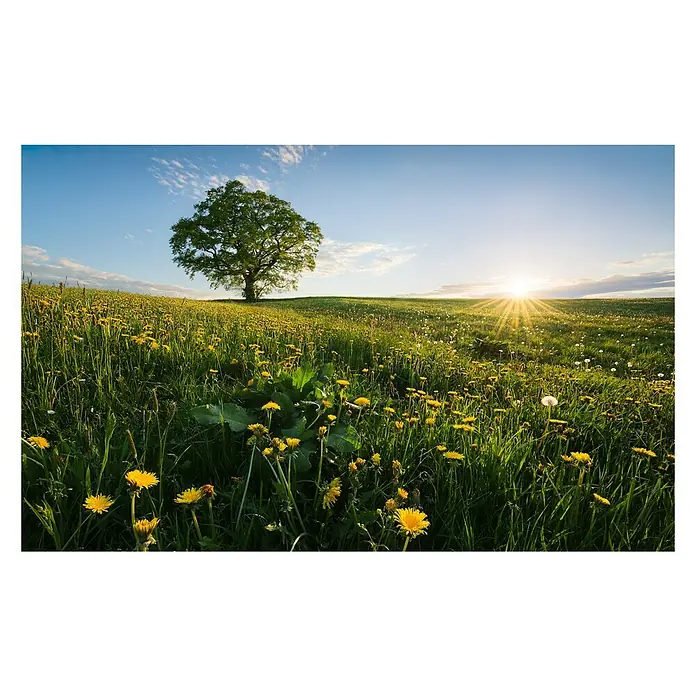 Komar Stefan Hefele Edition 2 Fototapete Frühling auf dem Land - 9 -tlg., B x H: 450 x 280 cm, Vlies - Vorderansicht