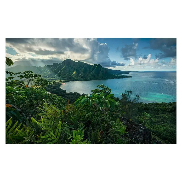 Komar Stefan Hefele Edition 2 Fototapete Jurassic Island - 9 -tlg., B x H: 450 x 280 cm, Vlies - Vorderansicht