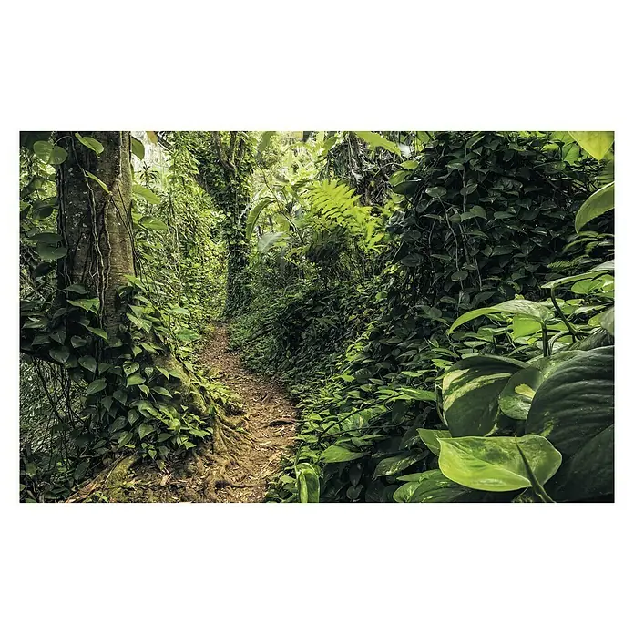 Komar Stefan Hefele Edition 1 Fototapete Path of Dreams - 4 -tlg., B x H: 400 x 250 cm, Vlies - Vorderansicht