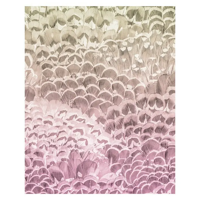 Komar Pure Fototapete Pale Feathers - 2 -tlg., B x H: 200 x 250 cm, Vlies - Vorderansicht