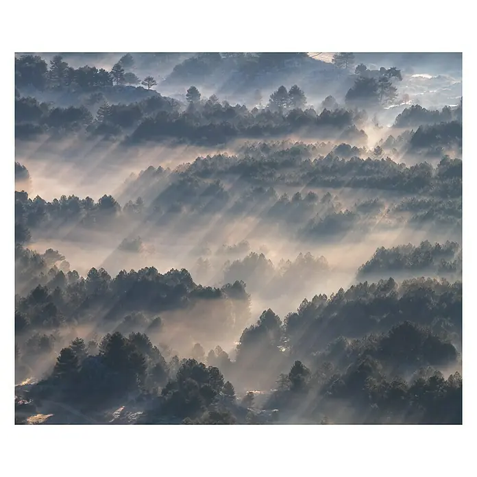 Komar Pure Fototapete Rays - 3 -tlg., B x H: 300 x 250 cm, Vlies - Vorderansicht