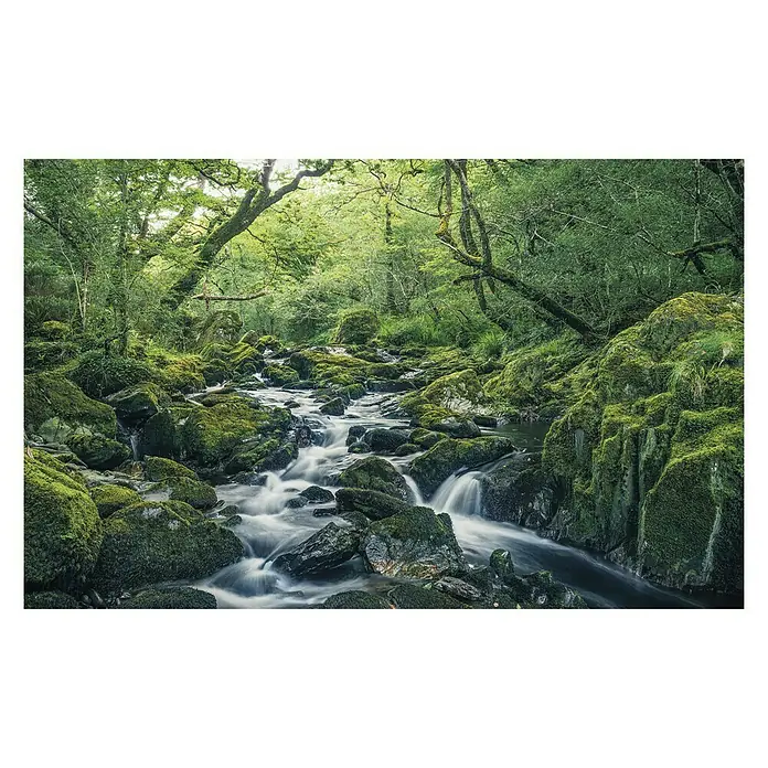 Komar Stefan Hefele Edition 1 Fototapete Green Tales - 4 -tlg., B x H: 400 x 250 cm, Vlies - Vorderansicht