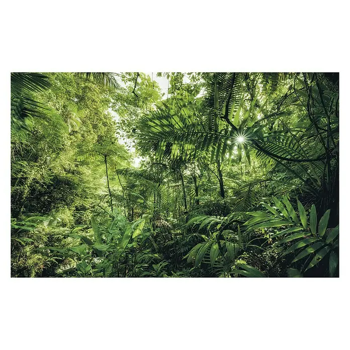 Komar Stefan Hefele Edition 1 Fototapete Into the Jungle - 4 -tlg., B x H: 400 x 250 cm, Vlies - Vorderansicht