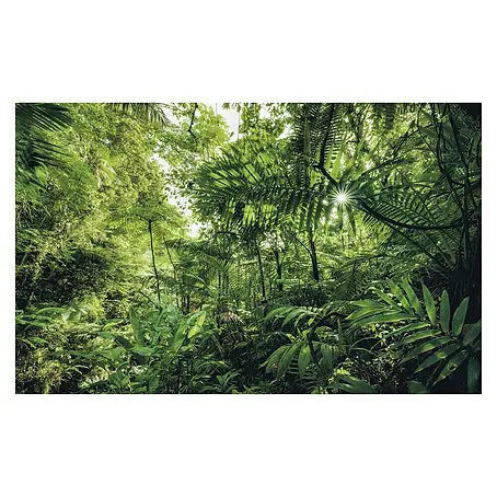 Komar Stefan Hefele Edition 1 Fototapete Into the Jungle