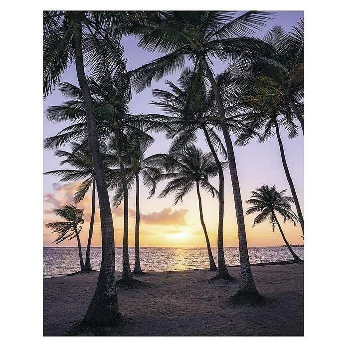Komar Stefan Hefele Edition 1 Fototapete Palmtrees on Beach - 2 -tlg., B x H: 200 x 250 cm, Vlies - Vorderansicht