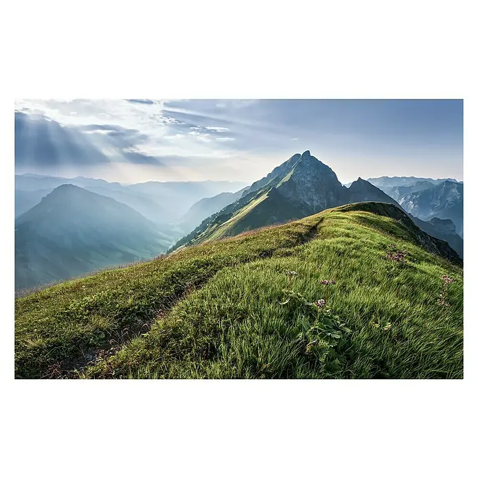 Komar Pure Fototapete Green Vein - 4 -tlg., B x H: 400 x 250 cm, Vlies - Vorderansicht