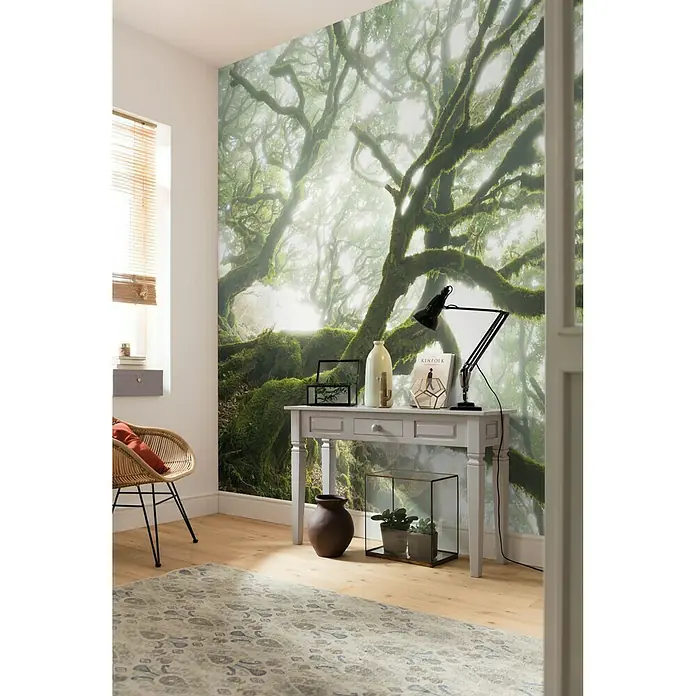 Komar Pure Fototapete The Forgotten Forest - 4 -tlg., B x H: 400 x 250 cm, Vlies - Stimmungsaufnahme