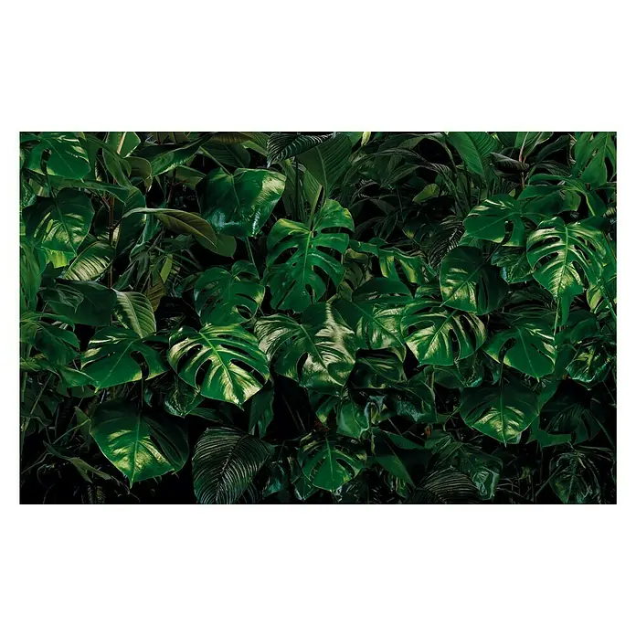 Komar Pure Fototapete Tropical Wall - 3 -tlg., B x H: 400 x 250 cm, Vlies - Vorderansicht