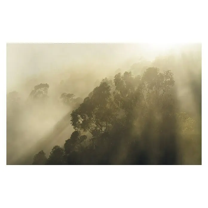 Komar Stefan Hefele Edition 1 Fototapete Misty Mountain - 4 -tlg., B x H: 400 x 250 cm, Vlies - Vorderansicht
