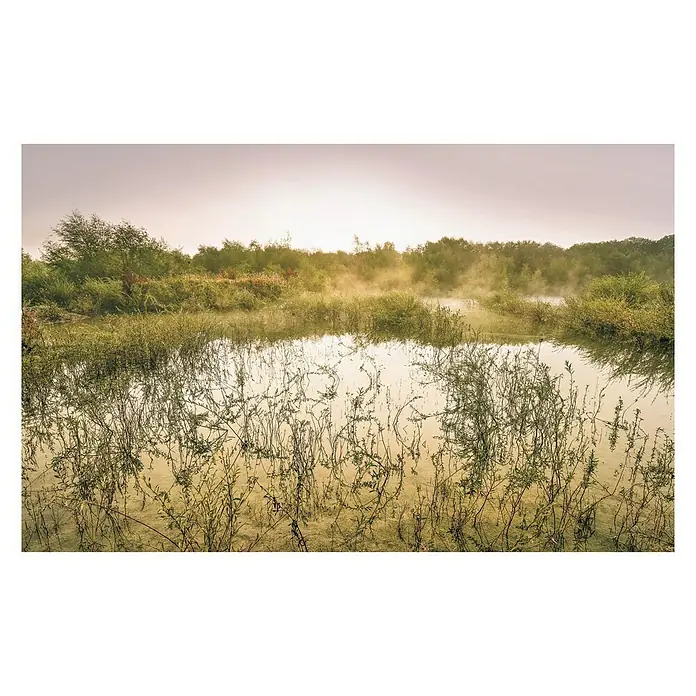 Komar Stefan Hefele Edition 1 Fototapete Morning View II - 4 -tlg., B x H: 400 x 250 cm, Vlies - Vorderansicht