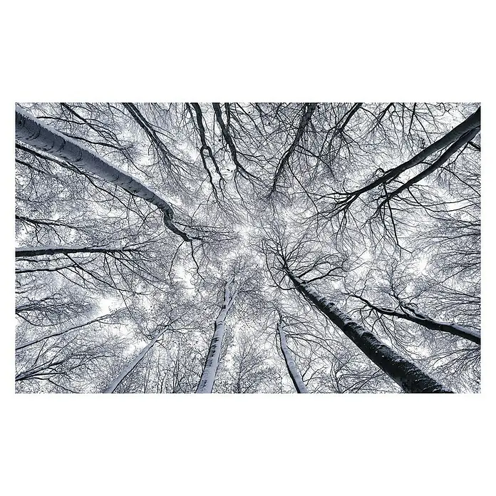 Komar Stefan Hefele Edition 1 Fototapete Up - 4 -tlg., B x H: 400 x 250 cm, Vlies - Vorderansicht