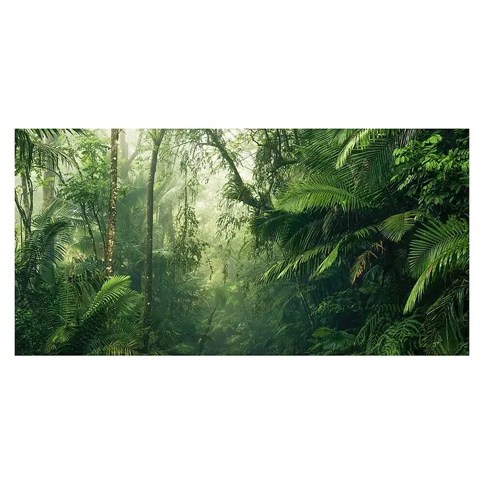 Komar Pure Fototapete Tropenwelten - 5 -tlg., B x H: 500 x 250 cm, Vlies - Vorderansicht