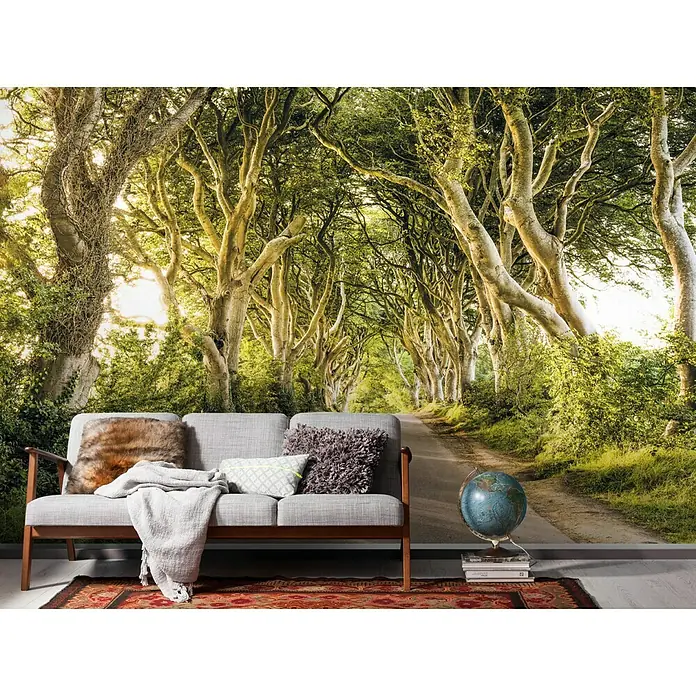 Komar Stefan Hefele Edition 1 Fototapete Golden Hedges - 4 -tlg., B x H: 400 x 250 cm, Vlies - Stimmungsaufnahme