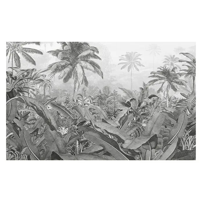 Komar Pure Fototapete Amazonia Black & White - 4 -tlg., B x H: 400 x 250 cm, Vlies - Vorderansicht