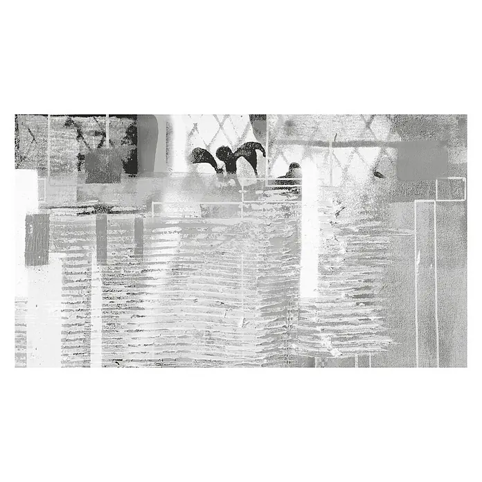 Komar Pure Fototapete Rhombus Hiding - 5 -tlg., B x H: 500 x 280 cm, Vlies - Vorderansicht