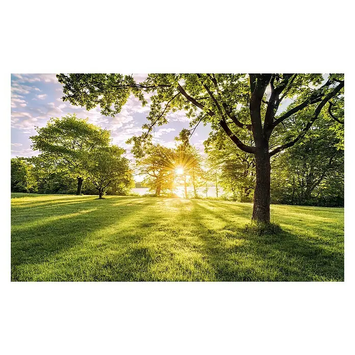 Komar Pure Fototapete Golden Moment - 4 -tlg., B x H: 400 x 250 cm, Vlies - Vorderansicht